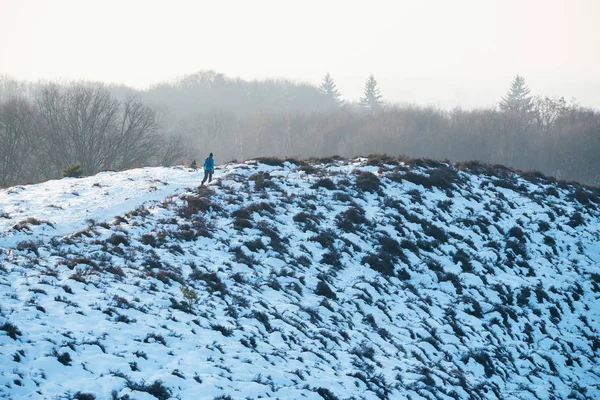 Caminante de pie en la colina nevada —  Fotos de Stock