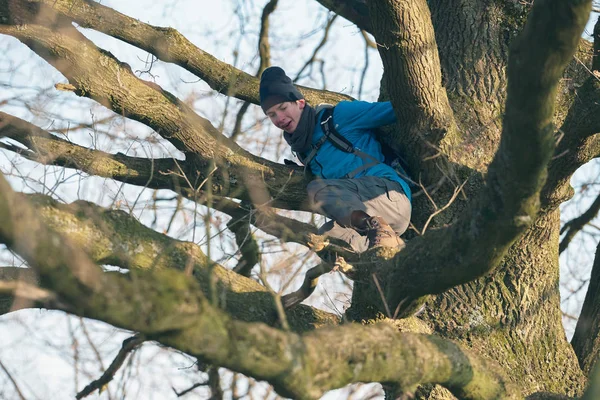 Dospívající chlapec lezení na strom — Stock fotografie