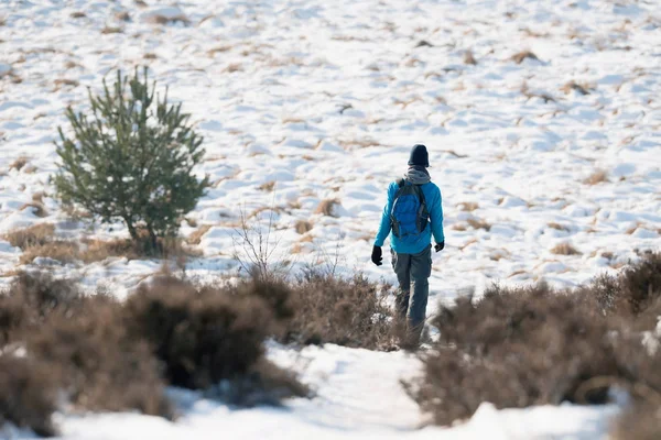 Caminante en invierno nevado paisaje —  Fotos de Stock
