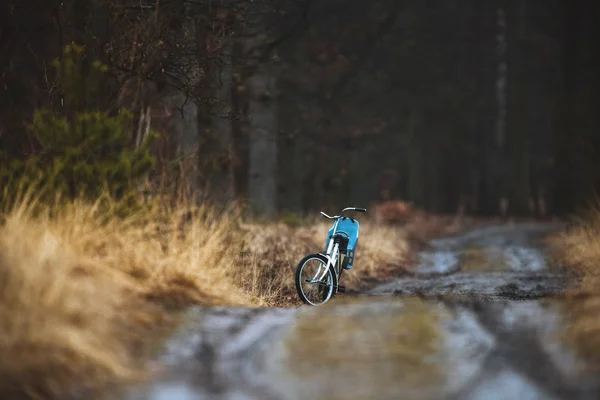 Bicycle on path in forest. — Stock Photo, Image