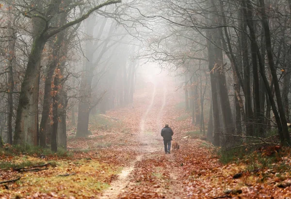 Man with dog in misty forest. — Stock Photo, Image