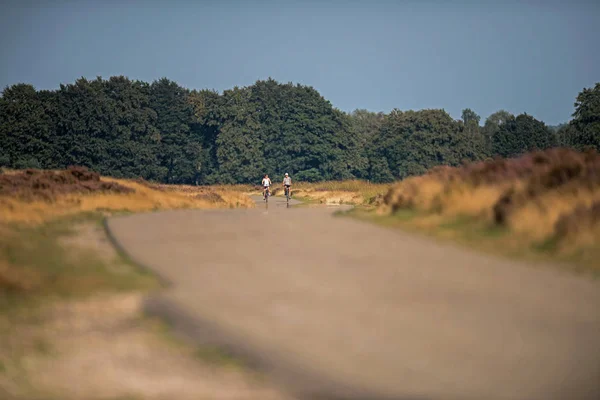 Pareja de ciclismo en carretera —  Fotos de Stock