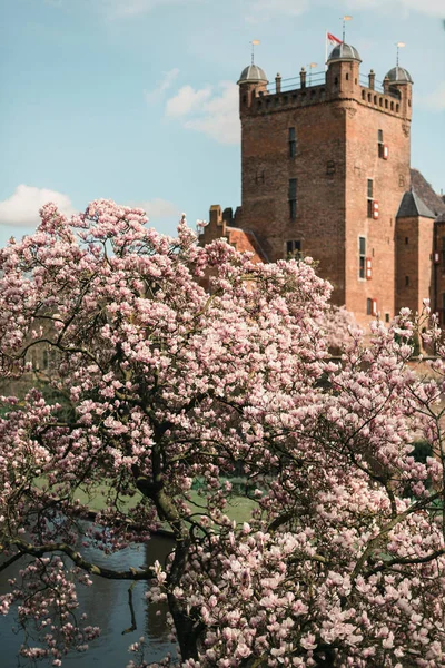 Bloeiende boom met oude kasteel — Stockfoto