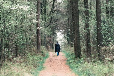 orman yolu üzerinde yürüyen turist