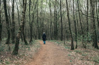 orman yolu üzerinde yürüyen turist