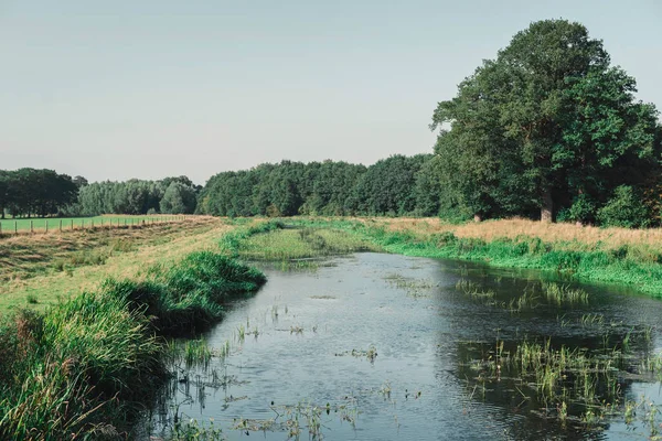 Holländische Landschaft mit Teich — Stockfoto