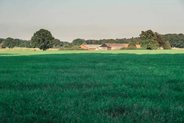 네덜란드 시골 풍경 — 스톡 사진