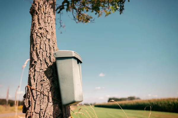 Caixa de correio vintage anexada à árvore — Fotografia de Stock