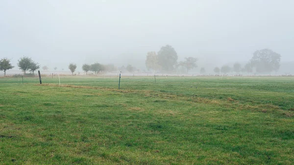 Misty holandés paisaje rural — Foto de Stock