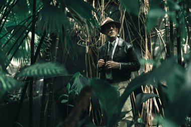 Yoğun orman içinde üst düzey keşfe çıkmak