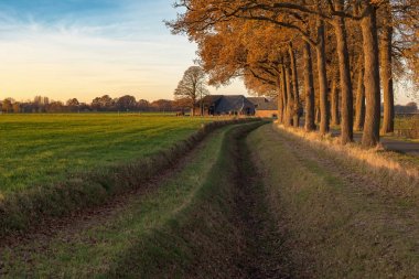 Hendek ve ağaçları ile çayır