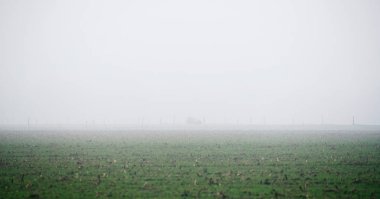 kırsal yolda araba araba 