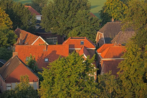 Roofs of houses lit by morning sunlight