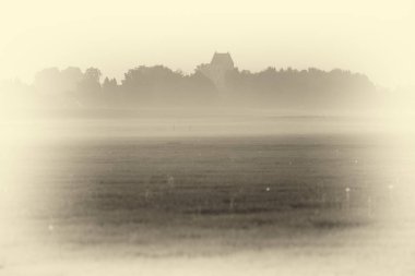 Hollandalı eski churchtower sis içinde