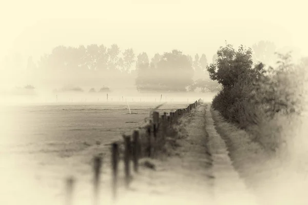 Camino en el paisaje rural brumoso — Foto de Stock