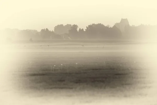 Oude Nederlandse plattelandsdorpje in mist — Stockfoto