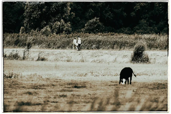 Dos mujeres caminando por la carretera —  Fotos de Stock