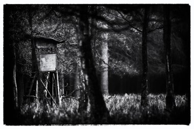 ormandaki avcılık yüksek koltuk