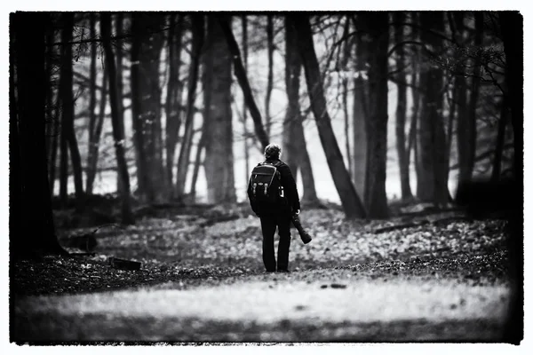 Fotógrafo andando no caminho — Fotografia de Stock