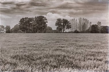 Arazili kırsal alan