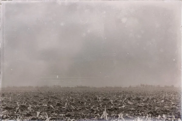 Terra agrícola na névoa da manhã — Fotografia de Stock
