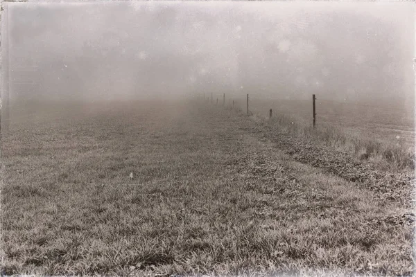 Landbouwgrond met hek in de mist — Stockfoto