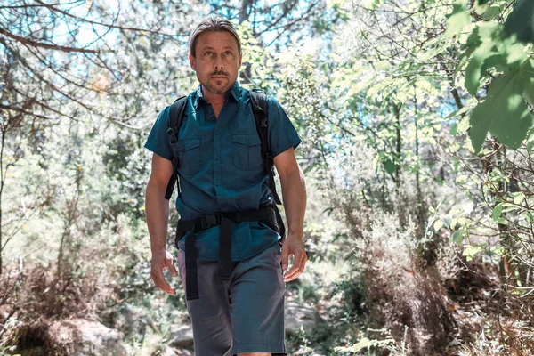 Backpacker walking in forest — Stock Photo, Image