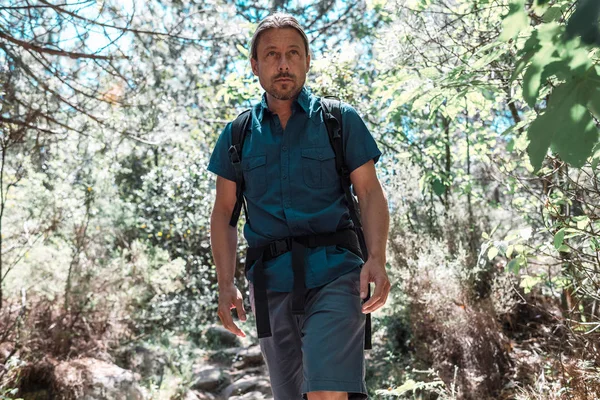 Backpacker walking in forest — Stock Photo, Image