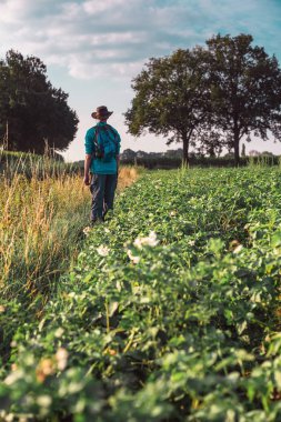 Tarım arazileri önünde duran genç adam 