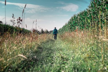 Mısır alan yürüyen adam