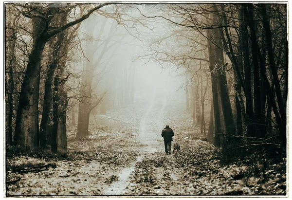 Homem com cão andando na floresta nebulosa — Fotografia de Stock