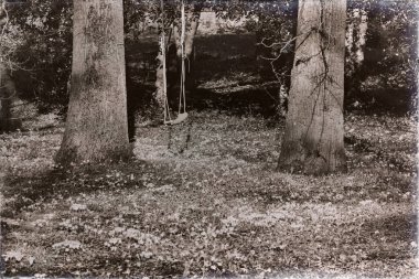 Çiğdemler ile alanının üstündeki ağaçlar arasında salıncak