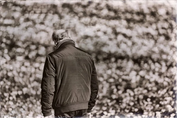 Homem sênior olhando para campo — Fotografia de Stock