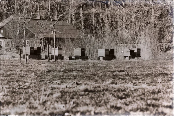 Hives standing on field of orchard — Stock Photo, Image