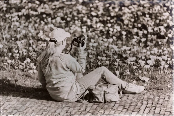 Mujer con gorra tomando fotos de los crosuses — Foto de Stock