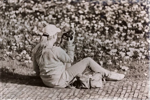 Žena s víčkem fotit crosuses — Stock fotografie