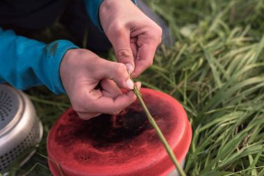 ısırgan çürüyen eller