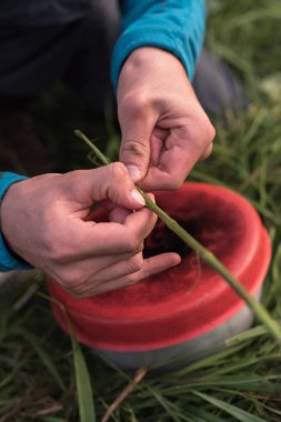 ısırgan çürüyen eller