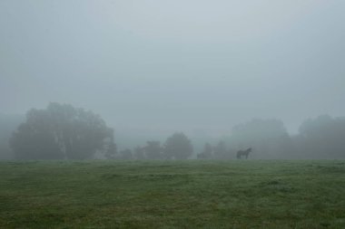 puslu kırsal manzara  