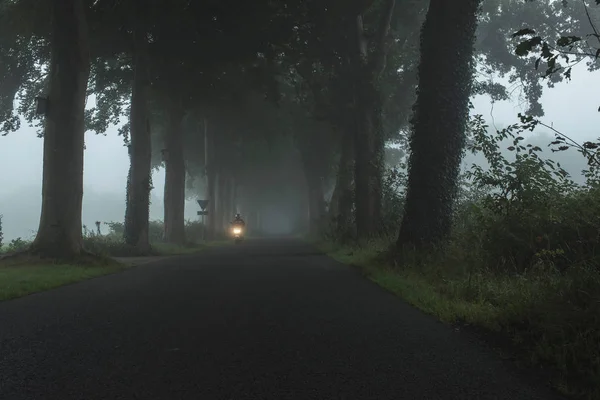 Misty country road with tractor — Stock Photo, Image