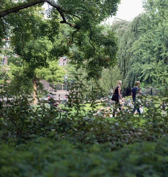 genç bir çift yaz Park