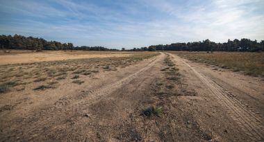 Toprak yol heather peyzaj 