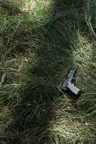 拳銃横になっている緑の草 — ストック写真