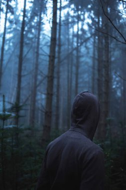 Ürkütücü puslu çam ormanı içinde Ma 