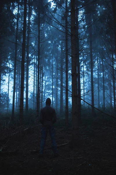 Homem em pé na floresta nebulosa — Fotografia de Stock