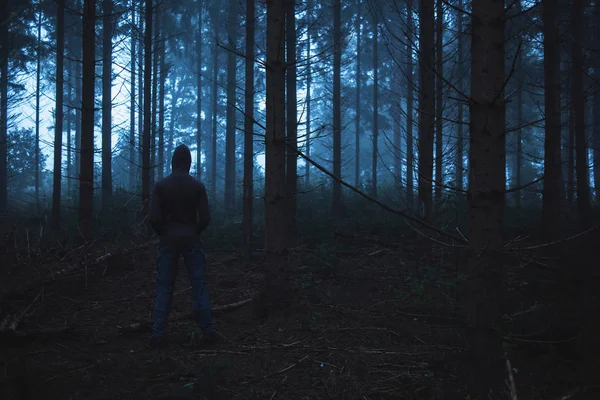 Mann steht im nebligen Wald — Stockfoto