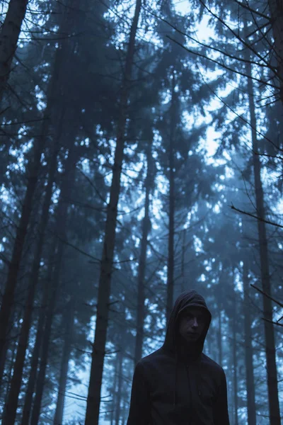 Человек в жутком сосновом лесу — стоковое фото
