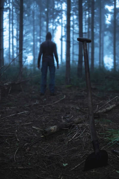 Kürek ve puslu ormandaki adam
