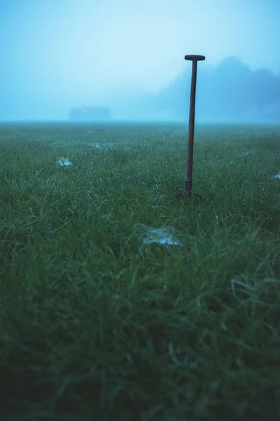 Pique debout dans le champ brumeux — Photo