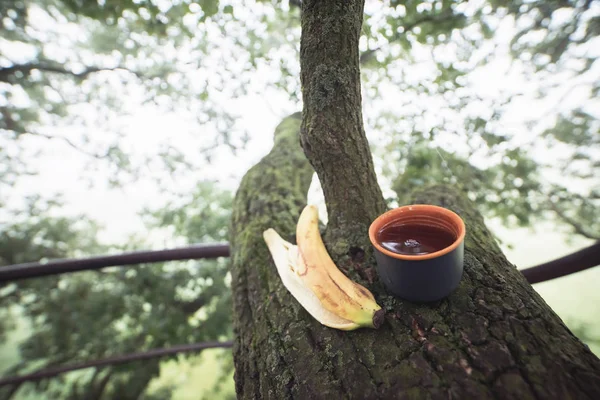 Cup of tea and banana — Stock Photo, Image